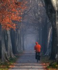 pedalare dentro l'autunno pedalare dentro l'autunno