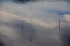 Segni d'acqua...