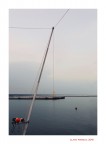 Linee...di pesca