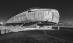 the whale