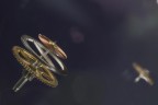 studio/macro 2