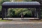 Autunno img.079