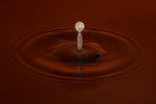 Goccia di latte caduta in un recipiente di acqua