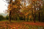 Autunno
