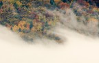 Nebbie d'Autunno