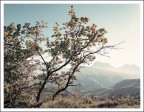 Autunno assolato