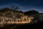 Light painting