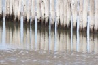 beach pattern