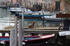 ho cercato di mettere in pratica un pochino di quello che ho letto sui vettori e l'uso di diagonali ed oggetti nella foto, per guidare lo sguardo di chi osserva la foto.
