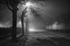 Luci nella nebbia