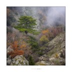 Desiderio contro il tempo Desiderio contro il tempo