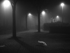 Passaggio fugace