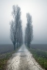 nebbia e sabbia nebbia e sabbia