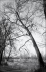 to my roots ... ;/)