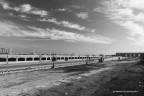 talete in b&amp;w