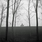 echoes ;/)