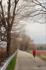 Autunno img.131