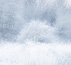 Winter symphony Winter symphony