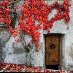Colori d'autunno