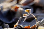 natura invernale