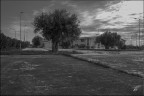 Scuola pubblica Siderno