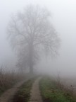 Padania_1