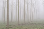 Padania_4