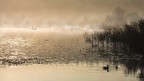 la luce del mattino