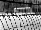 calcio_IV