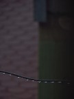 ''' '''