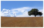 montalcino_05