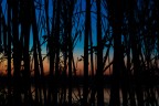 Il blu e il nero