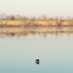 cercava di scappare nel lago ma era ghiacciato