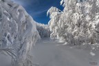 speriamo nevichi