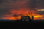 late sunset late sunset
