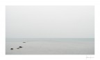 2016/4795