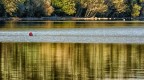 Punto di rosso