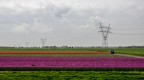 Paesaggio holland