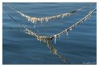 Collane di mare