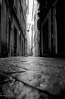 vIColI