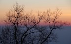 Ricami alla luce dell'alba