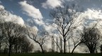 Parco Forlanini. Milano.