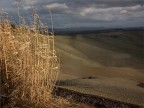 03022017_DSC0626