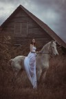 Horse's house