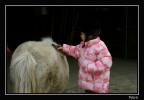 "sussurando ad un pony"
Ianis alle prese con il suo animale preferito! per fortuna non le piacciono gli elefanti!!!!