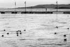 Lago Trasimeno