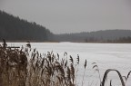 Nord