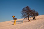 Alberi tecnologici