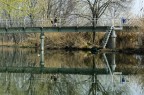 Mattino sul Fiume