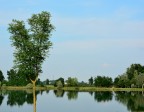 Riflesso
